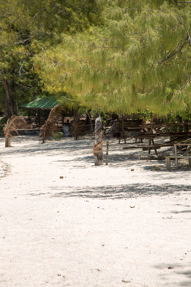 3L9A8583.jpg Iles du vent - Moorea - Copyright : See Otherwise 2012 - 2025
