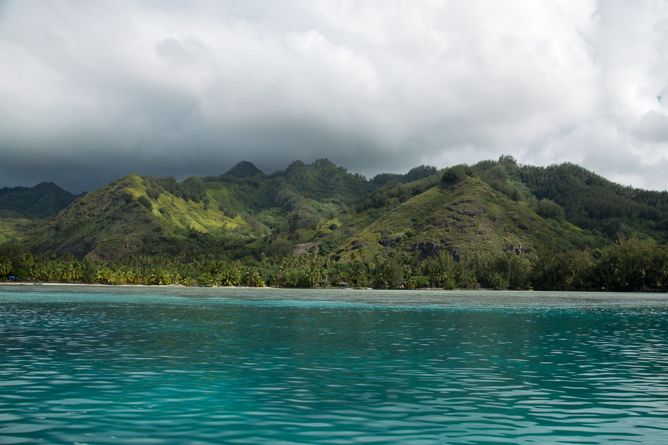 3L9A8602.jpg Iles du vent - Moorea - Copyright : See Otherwise 2012 - 2025