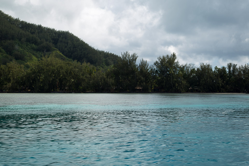 3L9A8603.jpg Iles du vent - Moorea - Copyright : See Otherwise 2012 - 2025