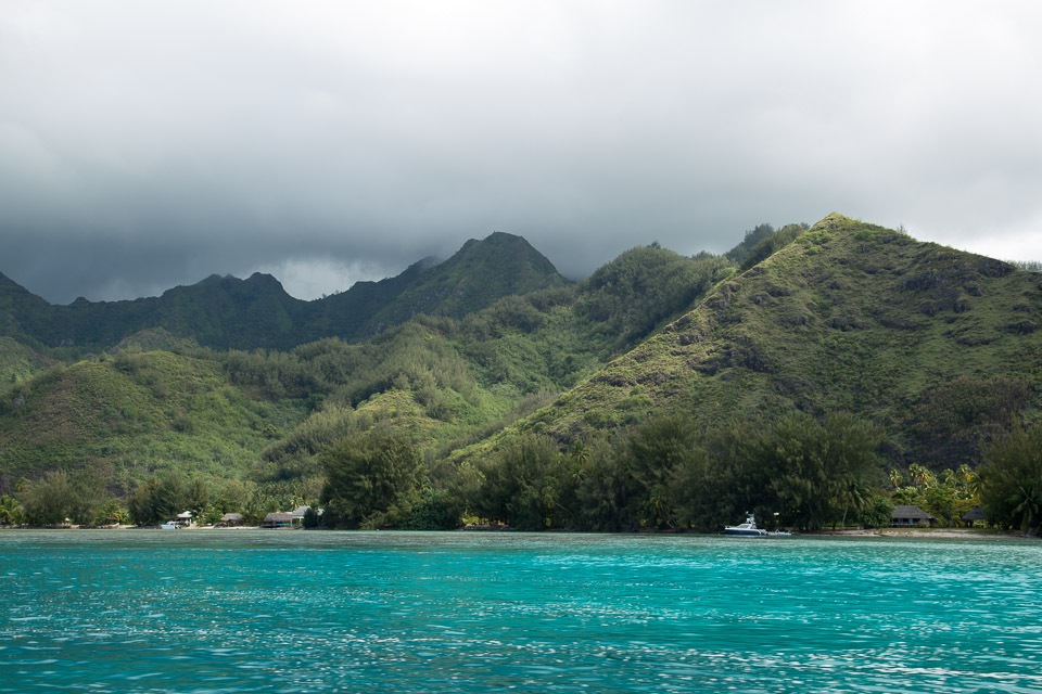 3L9A8605.jpg Iles du vent - Moorea - Copyright : See Otherwise 2012 - 2025
