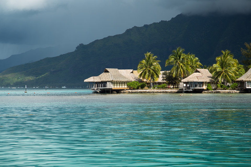 3L9A8613.jpg Iles du vent - Moorea - Copyright : See Otherwise 2012 - 2024
