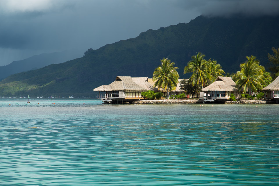 3L9A8613.jpg Iles du vent - Moorea - Copyright : See Otherwise 2012 - 2025