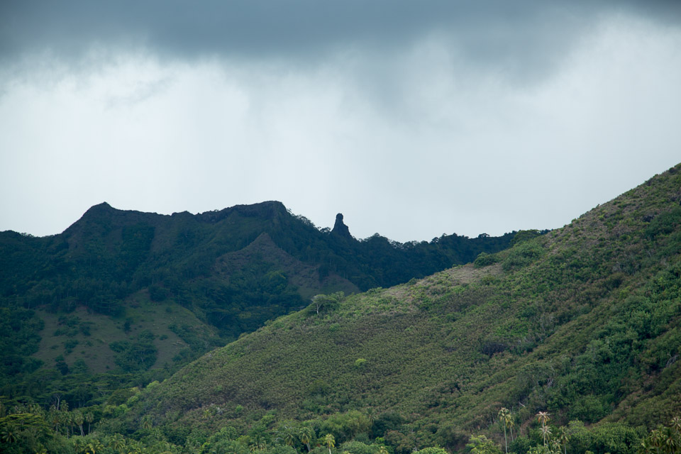 3L9A8618.jpg Iles du vent - Moorea - Copyright : See Otherwise 2012 - 2025