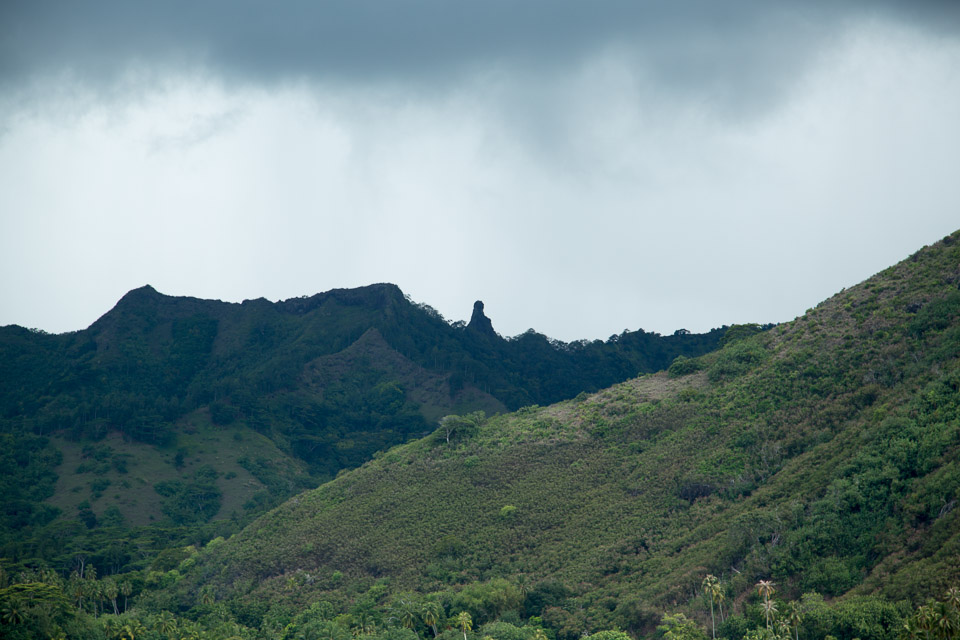 3L9A8618.jpg Iles du vent - Moorea - Copyright : See Otherwise 2012 - 2024