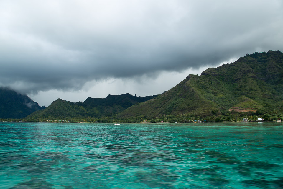 3L9A8619.jpg Iles du vent - Moorea - Copyright : See Otherwise 2012 - 2024