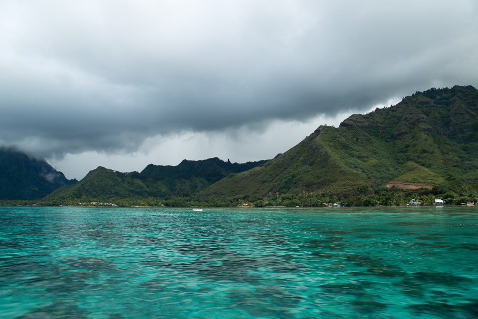 3L9A8619.jpg Iles du vent - Moorea - Copyright : See Otherwise 2012 - 2025
