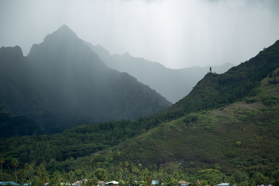 3L9A8626.jpg Iles du vent - Moorea - Copyright : See Otherwise 2012 - 2025