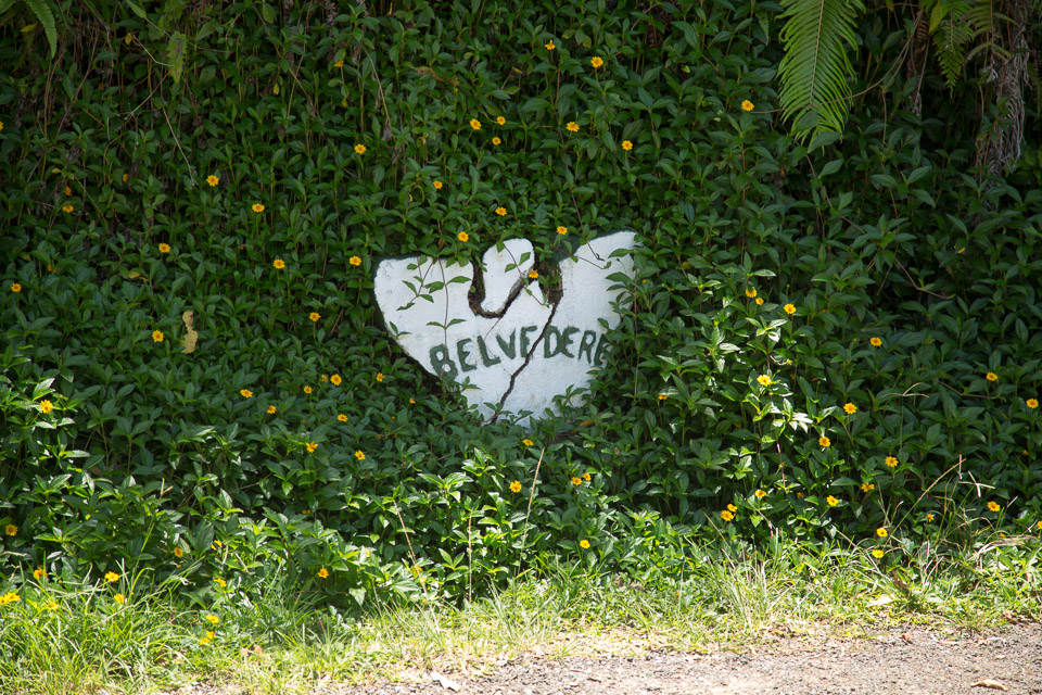 3L9A8887.jpg Iles du vent - Moorea - Copyright : See Otherwise 2012 - 2025