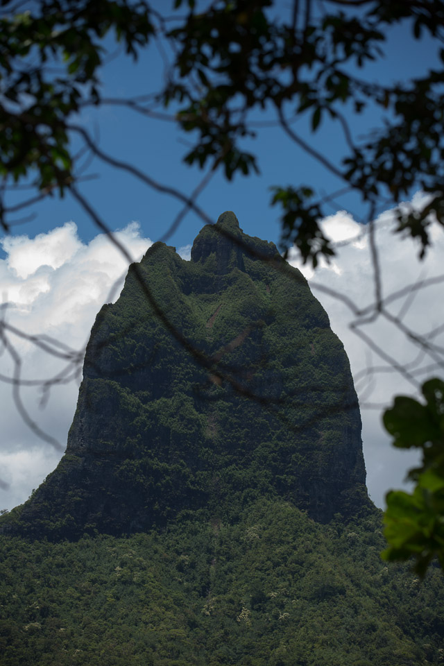 3L9A8917.jpg Iles du vent - Moorea - Copyright : See Otherwise 2012 - 2025