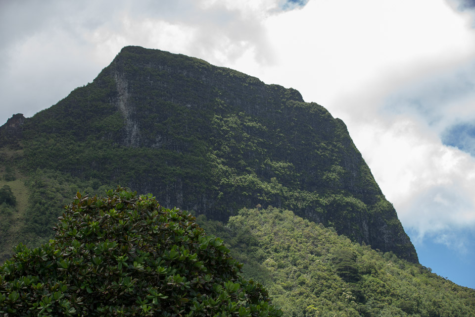 3L9A8960.jpg Iles du vent - Moorea - Copyright : See Otherwise 2012 - 2025