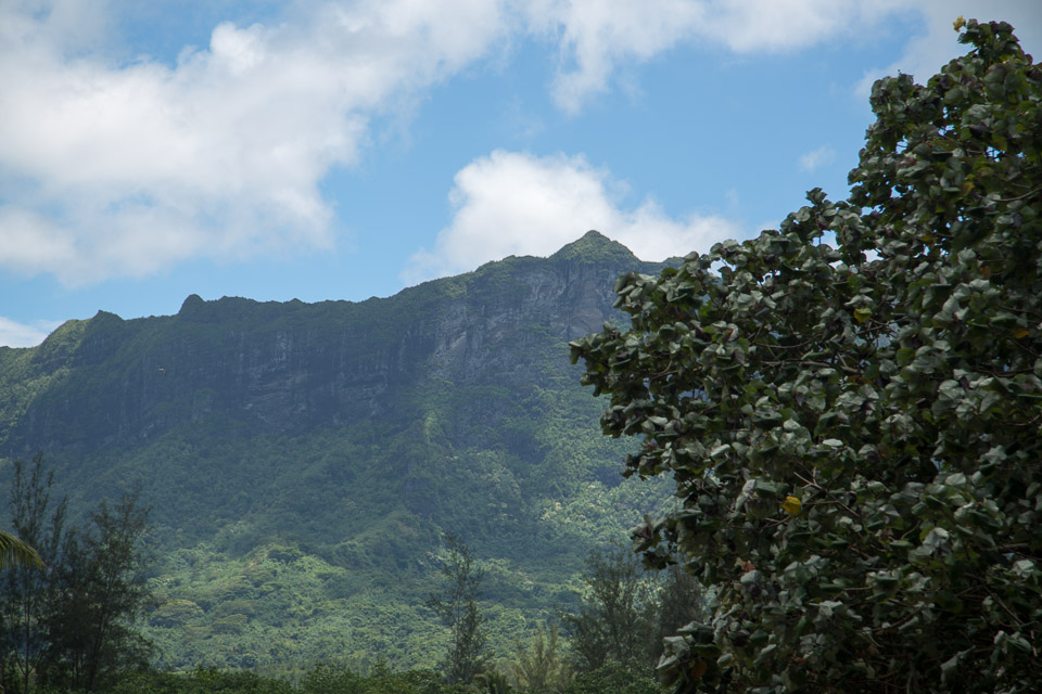 3L9A9050.jpg Iles du vent - Moorea - Copyright : See Otherwise 2012 - 2024