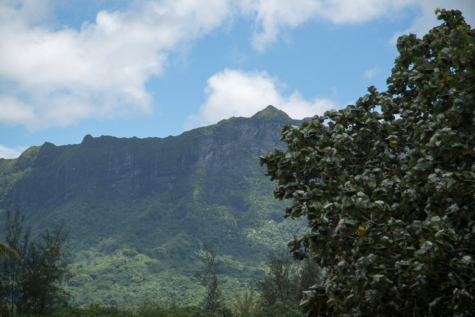 3L9A9050.jpg Iles du vent - Moorea - Copyright : See Otherwise 2012 - 2025