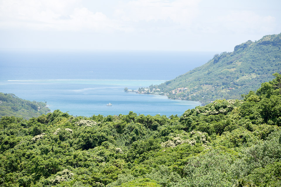 3L9A8907.jpg Iles du vent - Moorea - Copyright : See Otherwise 2012 - 2025
