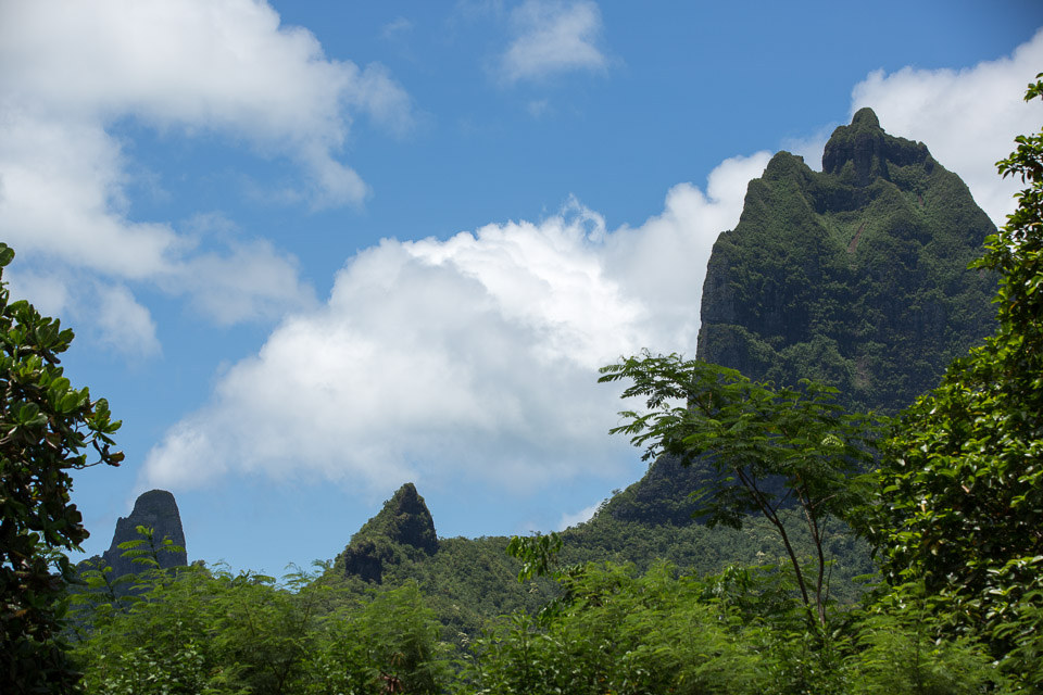 3L9A8963.jpg Iles du vent - Moorea - Copyright : See Otherwise 2012 - 2025