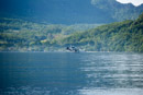 Iles du vent - Moorea - Copyright : See Otherwise 2012 - 2026