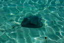 Iles du vent - Moorea - Copyright : See Otherwise 2012 - 2023