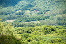 Iles du vent - Moorea - Copyright : See Otherwise 2012 - 2023