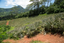 Iles du vent - Moorea - Copyright : See Otherwise 2012 - 2026
