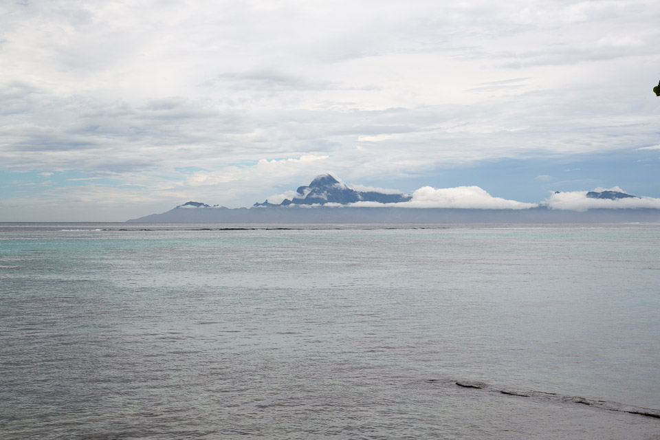 3L9A1470.jpg Iles du vent - Tahiti - Copyright : See Otherwise 2012 - 2025