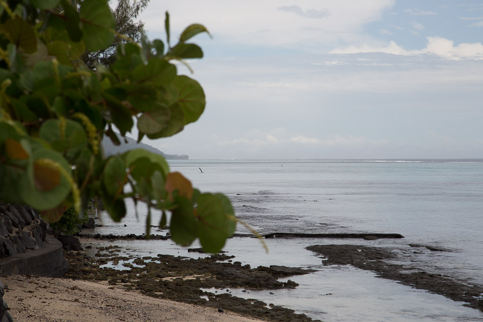 3L9A1476.jpg Iles du vent - Tahiti - Copyright : See Otherwise 2012 - 2024