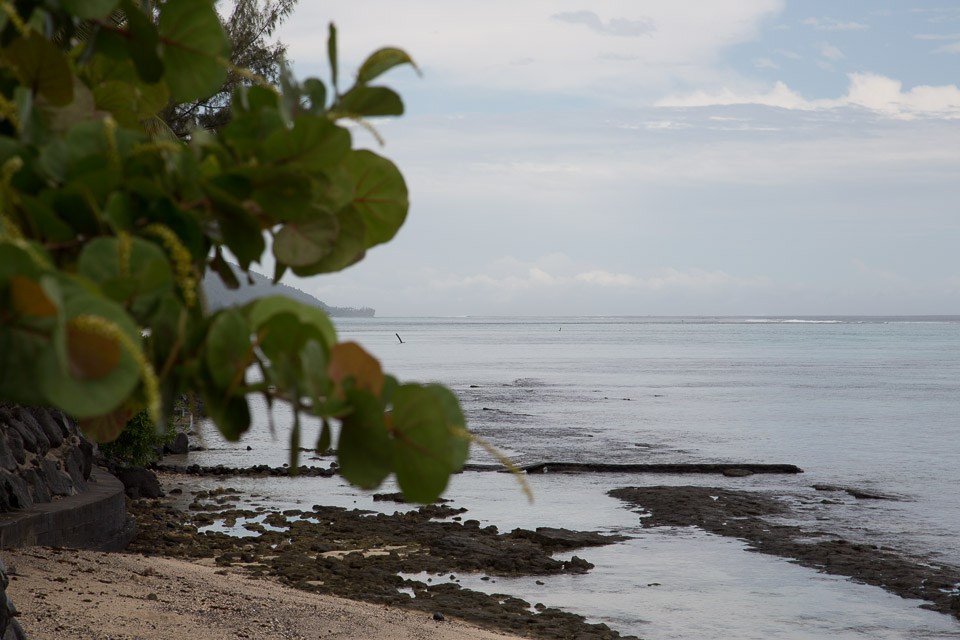 3L9A1476.jpg Iles du vent - Tahiti - Copyright : See Otherwise 2012 - 2025