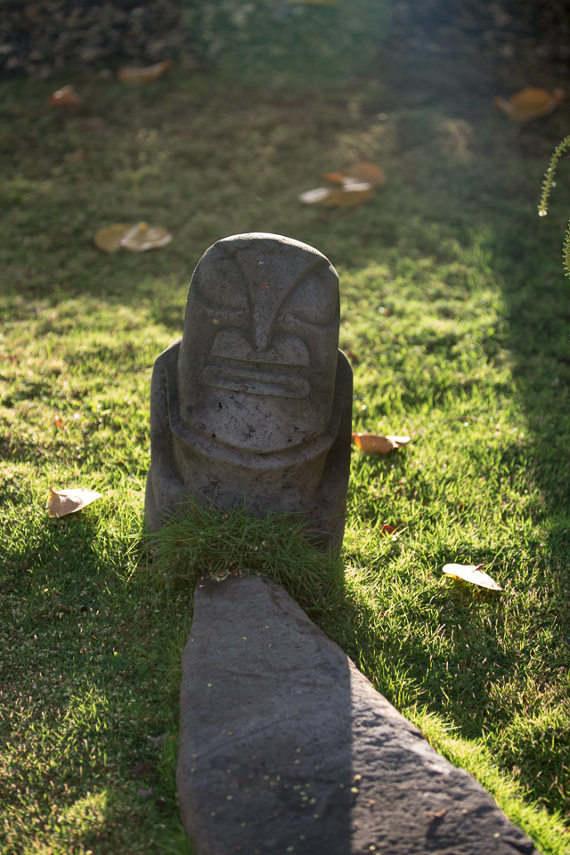 3L9A1598.jpg Iles du vent - Tahiti - Copyright : See Otherwise 2012 - 2025