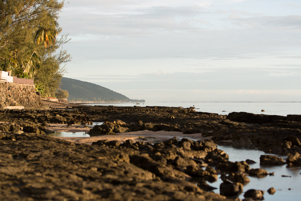 3L9A1637.jpg Iles du vent - Tahiti - Copyright : See Otherwise 2012 - 2025