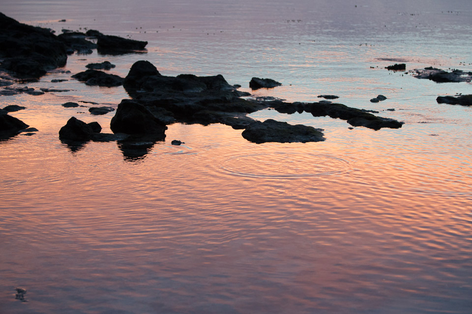3L9A1716.jpg Iles du vent - Tahiti - Copyright : See Otherwise 2012 - 2025