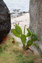Iles du vent - Tahiti - Copyright : See Otherwise 2012 - 2023