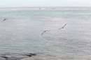 Iles du vent - Tahiti - Copyright : See Otherwise 2012 - 2023