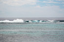 3L9A1557.jpg [Polynesie]Iles du vent - Tahiti - Copyright : See Otherwise 2012 - 2022