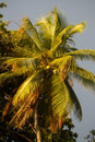 Iles du vent - Tahiti - Copyright : See Otherwise 2012 - 2023