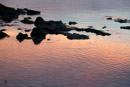 3L9A1716.jpg Iles du vent - Tahiti - Copyright : See Otherwise 2012 - 2023