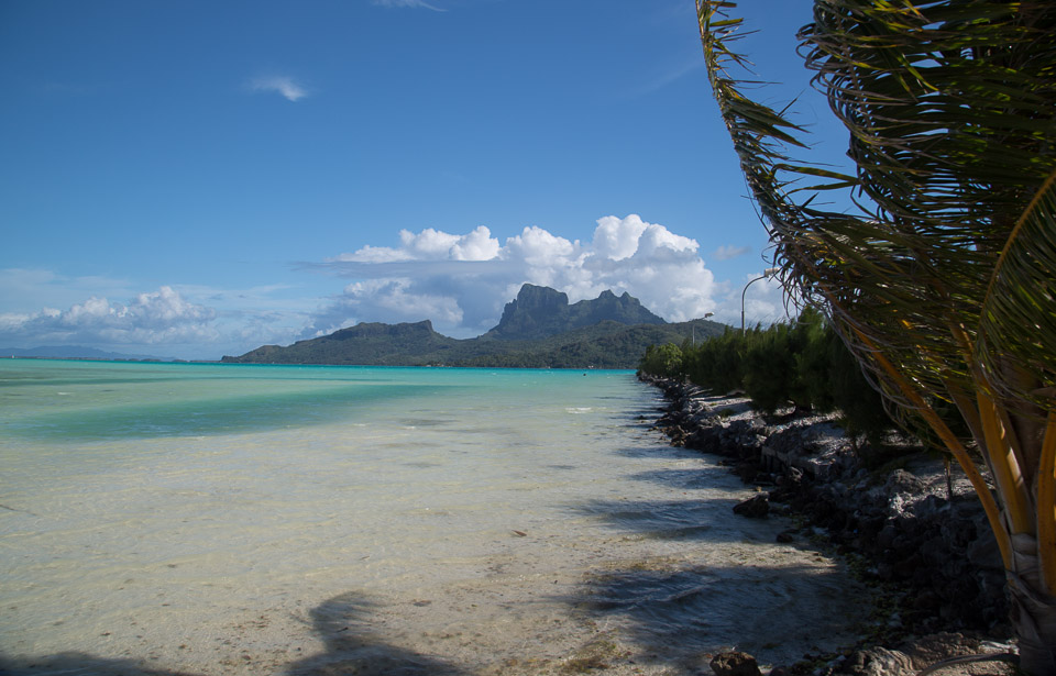 3L9A7823.jpg Iles sous le vent - Bora Bora - Copyright : See Otherwise 2012 - 2024