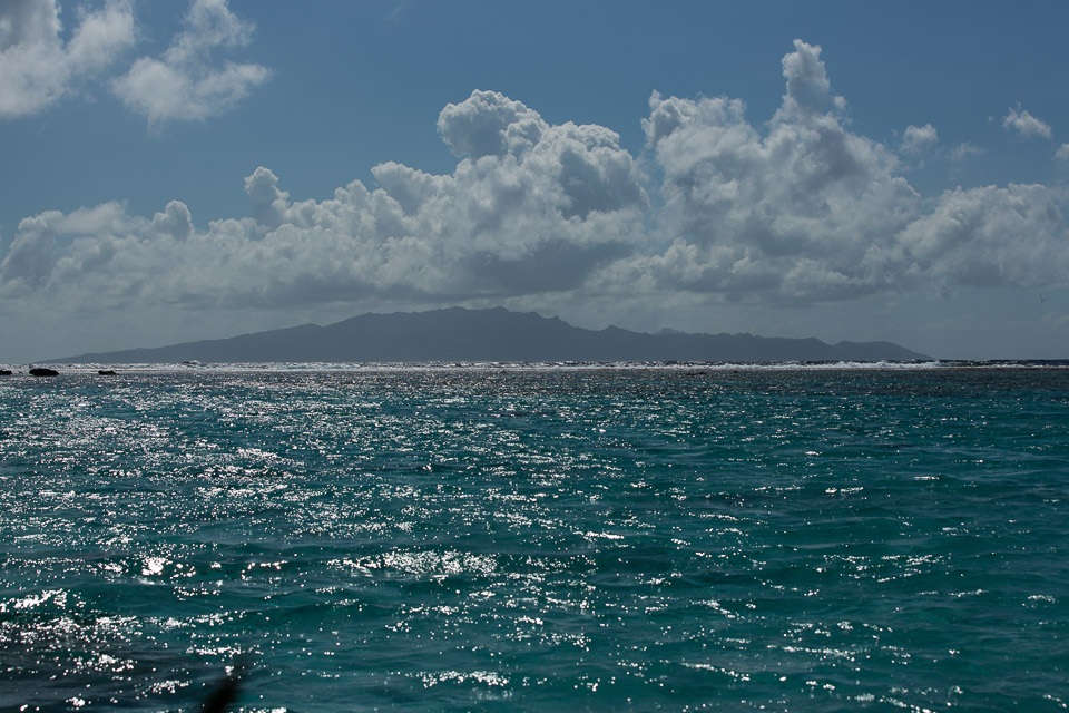 3L9A8083.jpg Iles sous le vent - Bora Bora - Copyright : See Otherwise 2012 - 2025