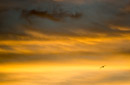 Iles sous le vent - Bora Bora - Copyright : See Otherwise 2012 - 2023