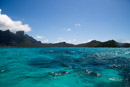 3L9A8114.jpg [Polynesie]Iles sous le vent - Bora Bora - Copyright : See Otherwise 2012 - 2022