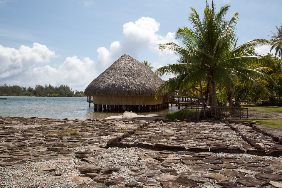 3L9A4750.jpg Iles sous le vent - Huahine - Copyright : See Otherwise 2012 - 2024