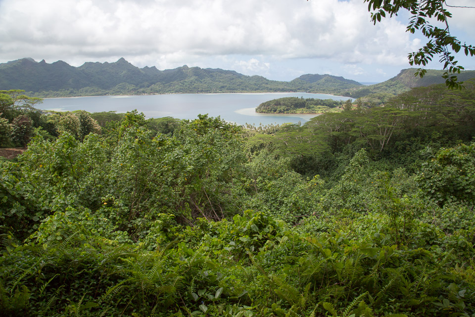 3L9A4797.jpg Iles sous le vent - Huahine - Copyright : See Otherwise 2012 - 2025