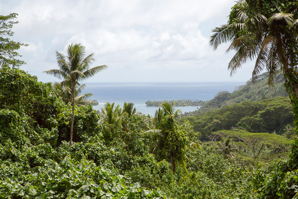 3L9A4803.jpg Iles sous le vent - Huahine - Copyright : See Otherwise 2012 - 2025