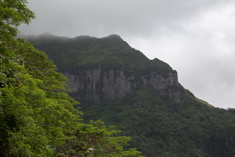 3L9A4815.jpg Iles sous le vent - Huahine - Copyright : See Otherwise 2012 - 2025