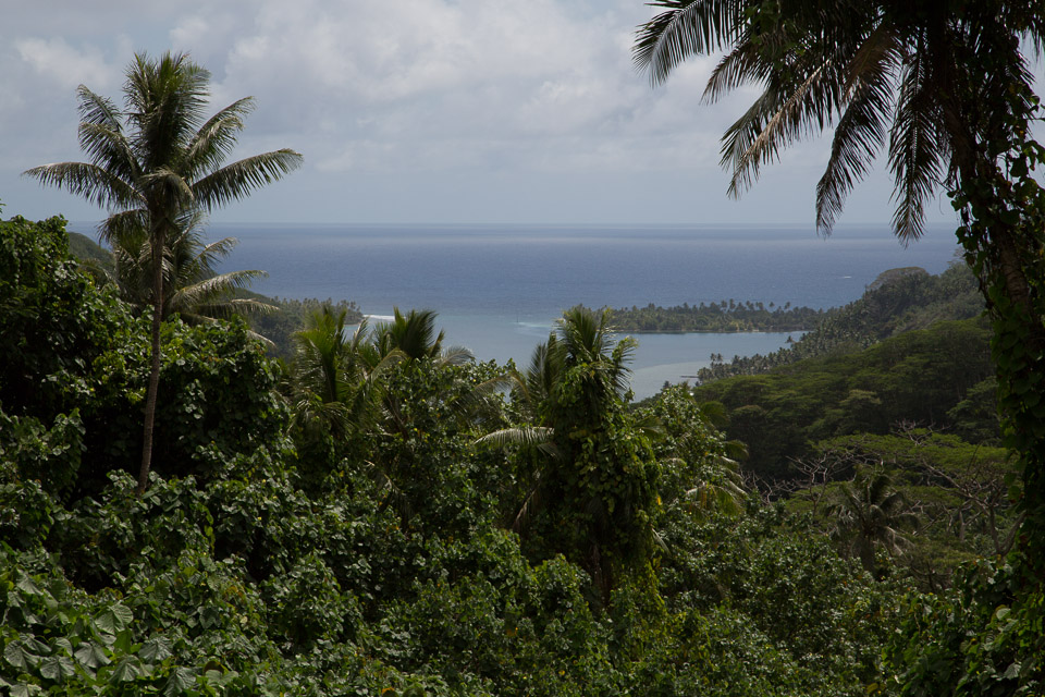 3L9A4819.jpg Iles sous le vent - Huahine - Copyright : See Otherwise 2012 - 2025
