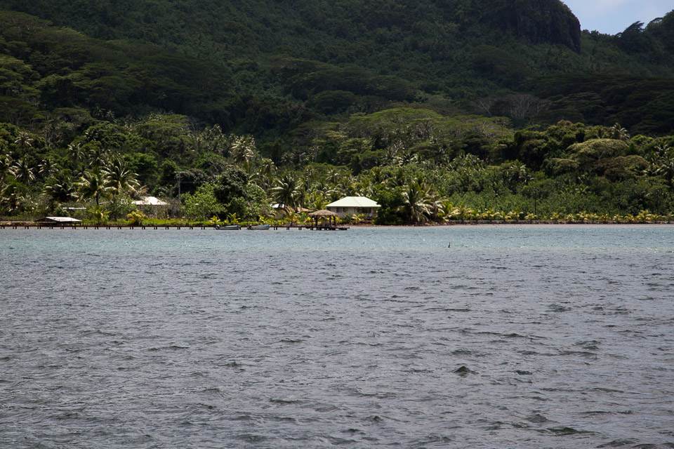 3L9A4929.jpg Iles sous le vent - Huahine - Copyright : See Otherwise 2012 - 2025
