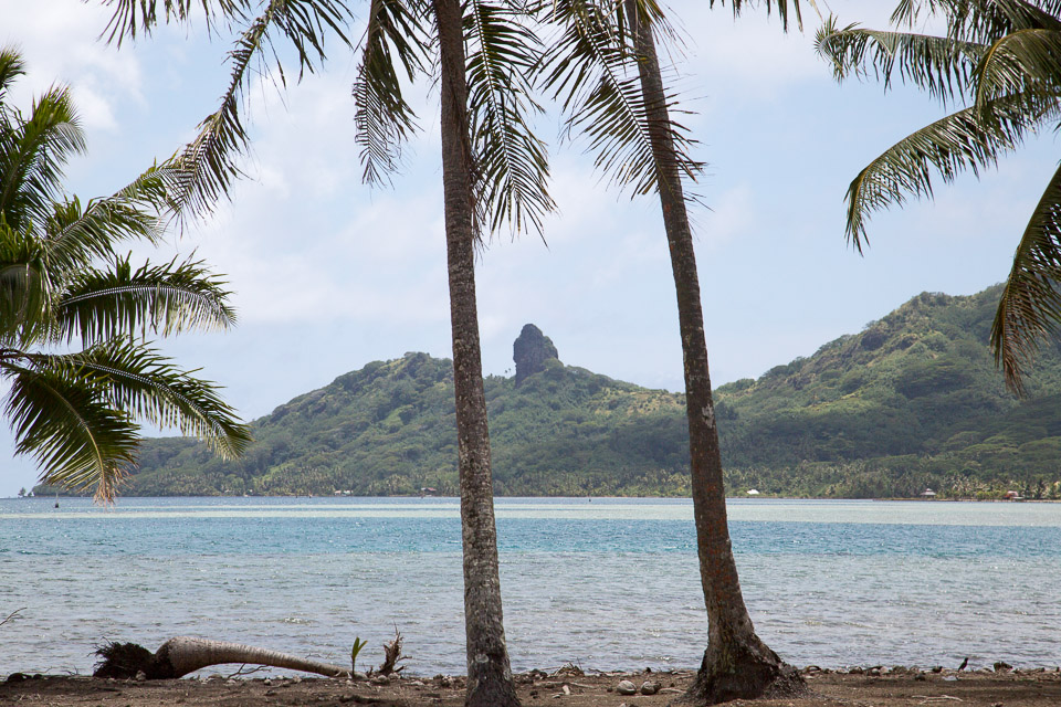 3L9A4949.jpg Iles sous le vent - Huahine - Copyright : See Otherwise 2012 - 2025