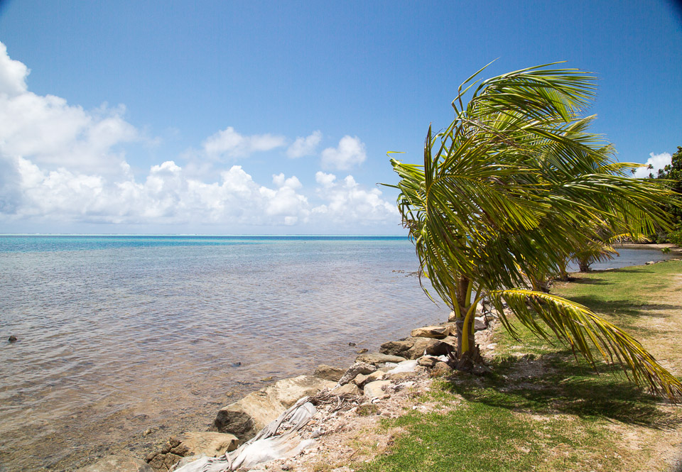 3L9A5049.jpg Iles sous le vent - Huahine - Copyright : See Otherwise 2012 - 2025