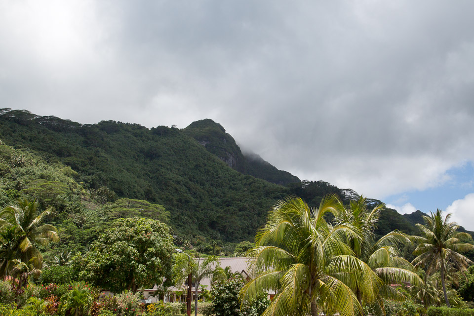 3L9A5139.jpg Iles sous le vent - Huahine - Copyright : See Otherwise 2012 - 2025