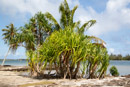 Iles sous le vent - Huahine - Copyright : See Otherwise 2012 - 2025
