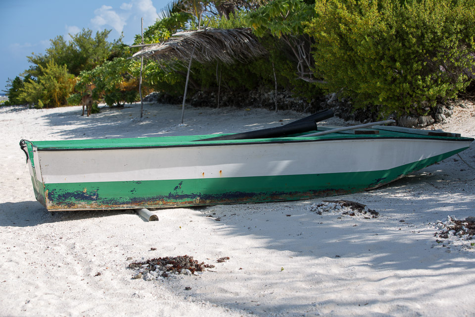 3L9A6773.jpg Iles sous le vent - Maupiti - Copyright : See Otherwise 2012 - 2025