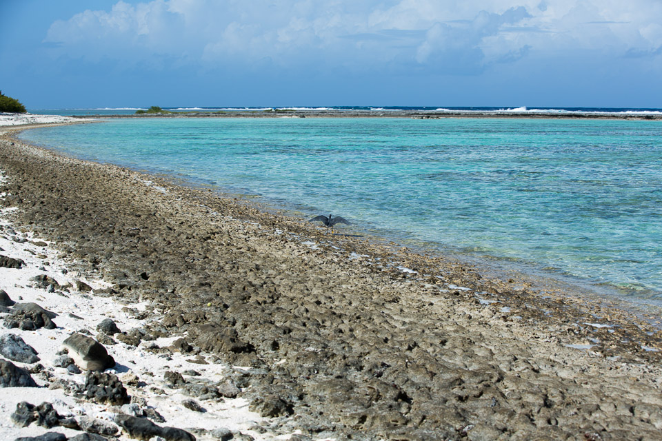 3L9A6801.jpg Iles sous le vent - Maupiti - Copyright : See Otherwise 2012 - 2025