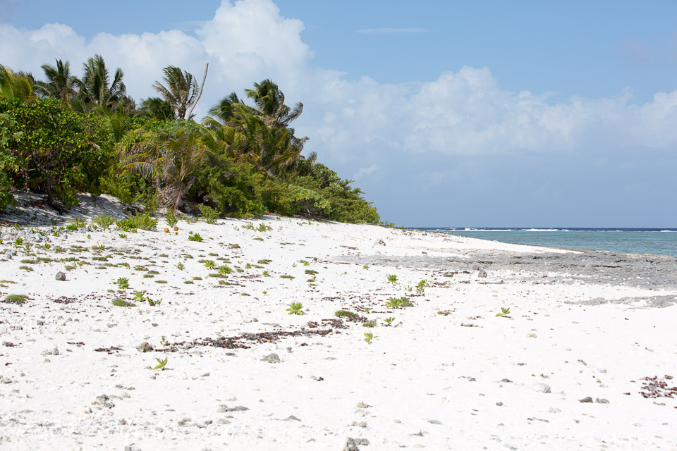 3L9A6835.jpg Iles sous le vent - Maupiti - Copyright : See Otherwise 2012 - 2025